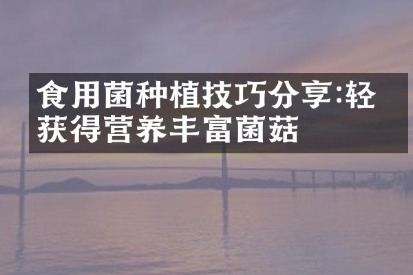 食用菌种植技巧分享:轻松获得营养丰富菌菇