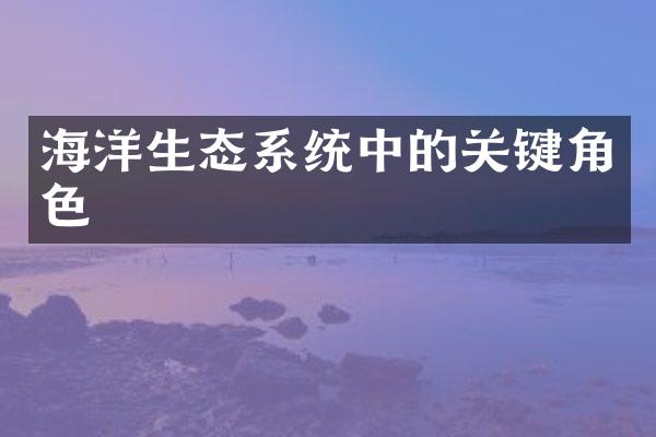 海洋生态系统中的关键角色