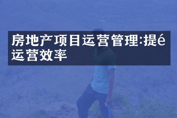 房地产项目运营管理:提高运营效率