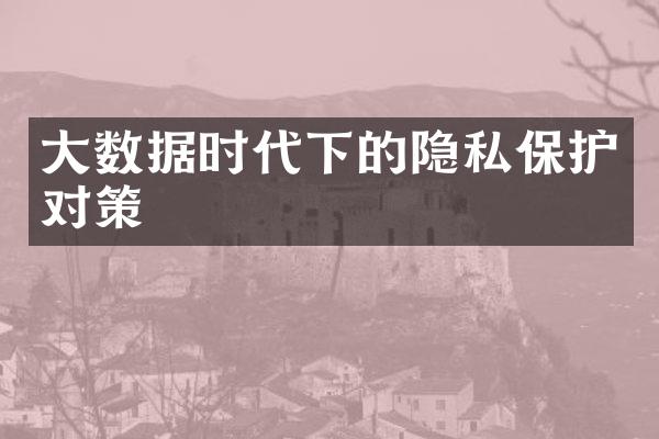 大数据时代下的隐私保护对策