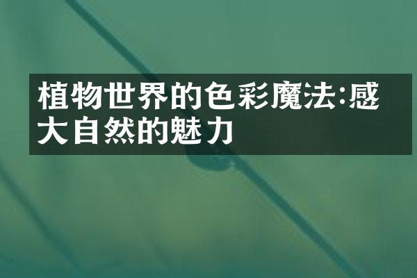 植物世界的色彩魔法:感受大自然的魅力