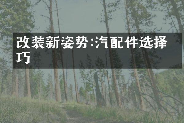 改装新姿势:汽配件选择技巧