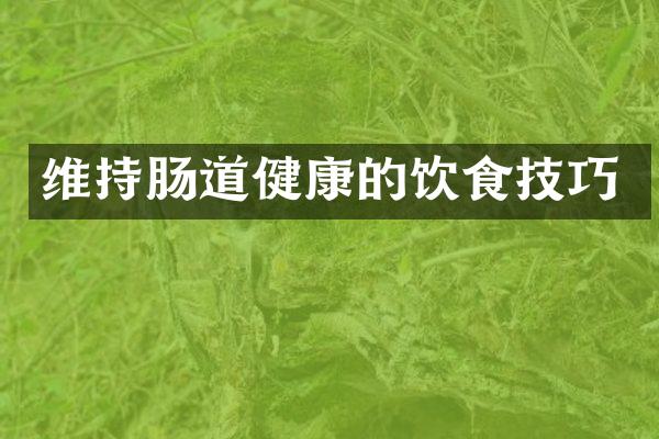 维持肠道健康的饮食技巧