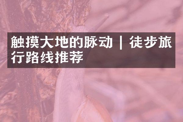 触摸大地的脉动 | 徒步旅行路线推荐