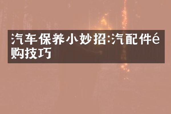 汽车保养小妙招:汽配件选购技巧