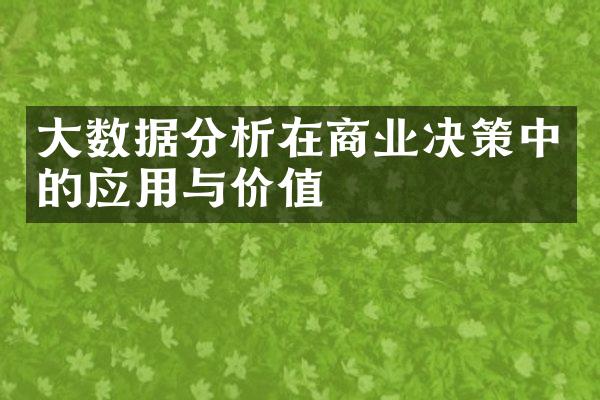 大数据分析在商业决策中的应用与价值