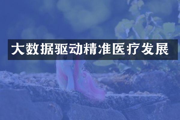 大数据驱动精准医疗发展
