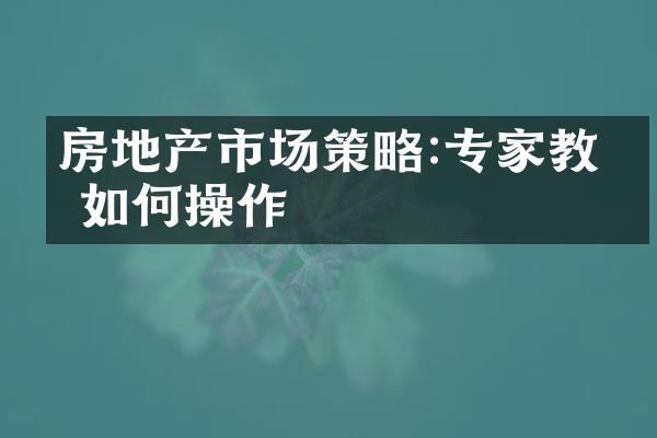 房地产市场策略:专家教你如何操作