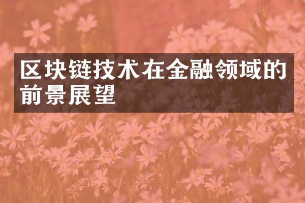 区块链技术在金融领域的前景展望