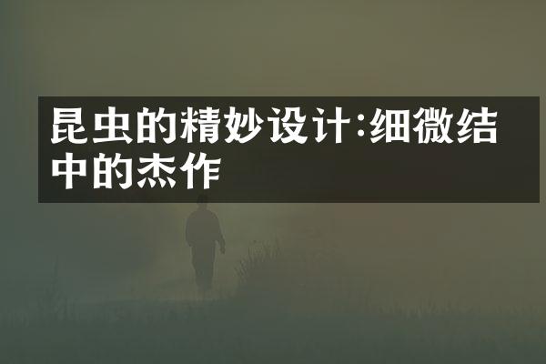 昆虫的精妙设计:细微结构中的杰作