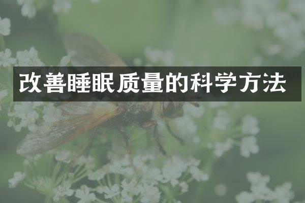 改善睡眠质量的科学方法