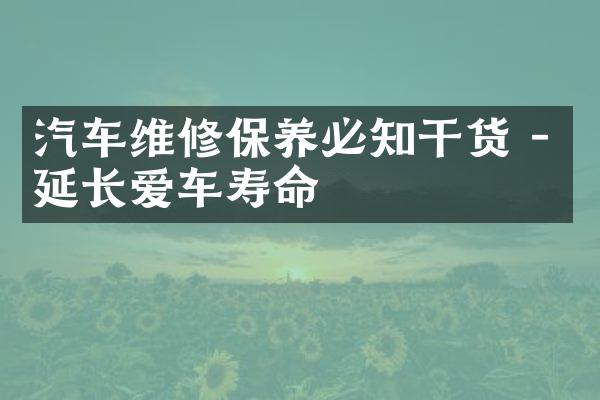 汽车维修保养必知干货 - 延长爱车寿命