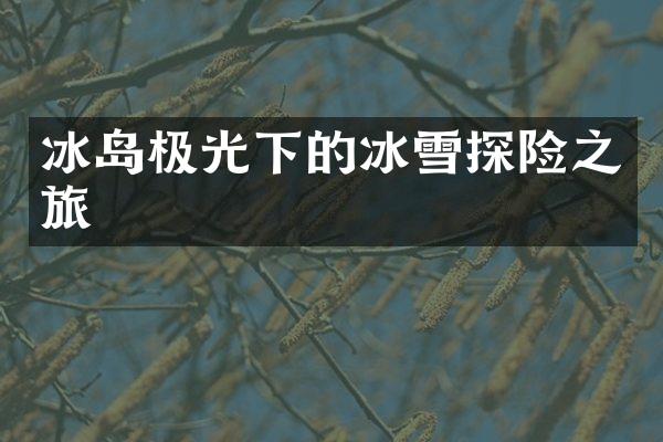 冰岛极光下的冰雪探险之旅