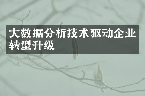 大数据分析技术驱动企业转型升级