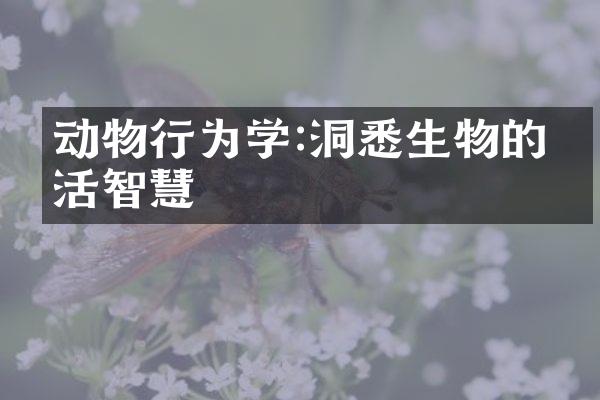 动物行为学:洞悉生物的生活智慧