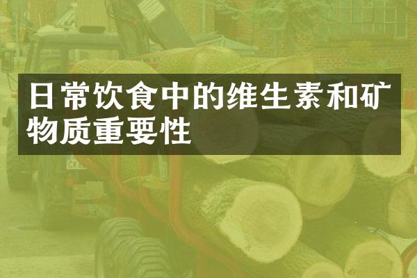 日常饮食中的维生素和矿物质重要性