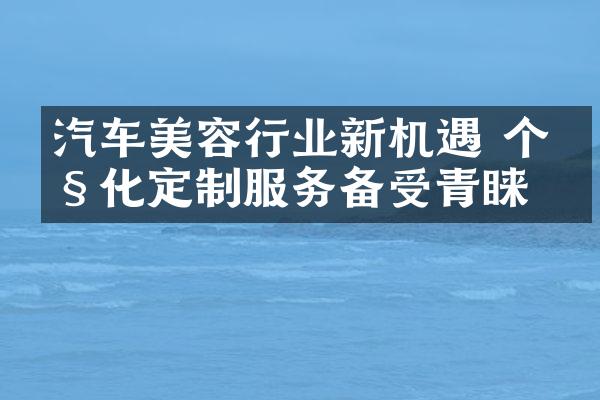 汽车美容行业新机遇 个性化定制服务备受青睐