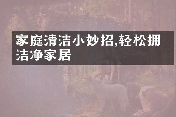 家庭清洁小妙招,轻松拥有洁净家居