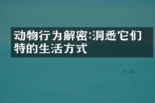 动物行为解密:洞悉它们独特的生活方式