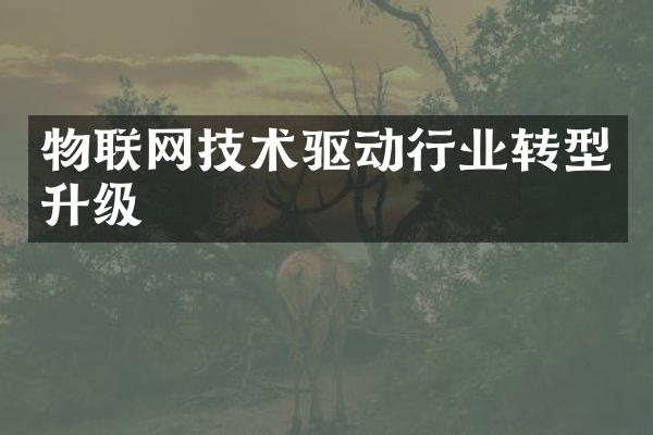 物联网技术驱动行业转型升级