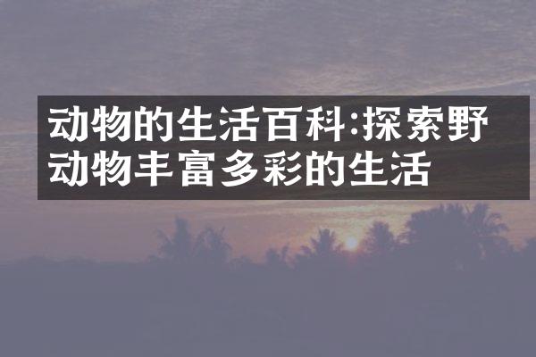 动物的生活百科:探索野生动物丰富多彩的生活