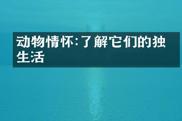 动物情怀:了解它们的独特生活