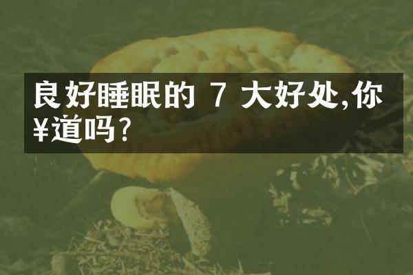 良好睡眠的 7 大好处,你知道吗?