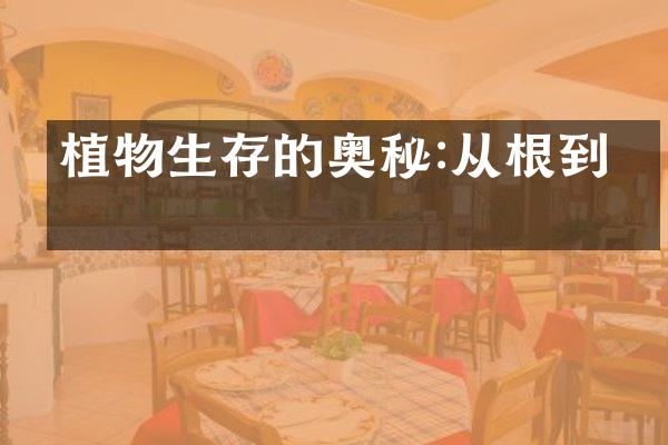 植物生存的奥秘:从根到叶