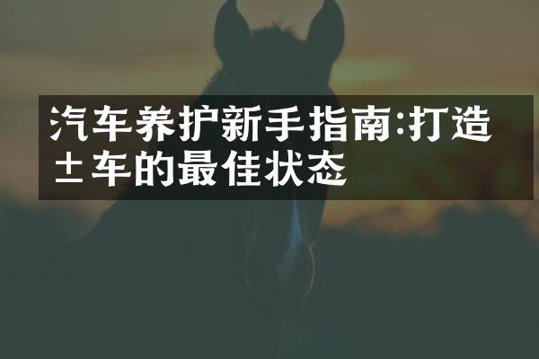 汽车养护新手指南:打造爱车的最佳状态