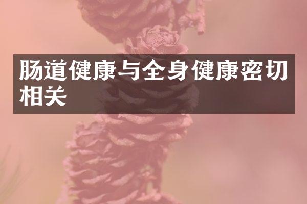肠道健康与全身健康密切相关