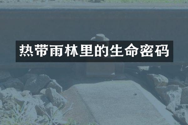 热带雨林里的生命密码