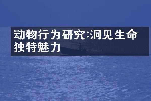 动物行为研究:洞见生命的独特魅力