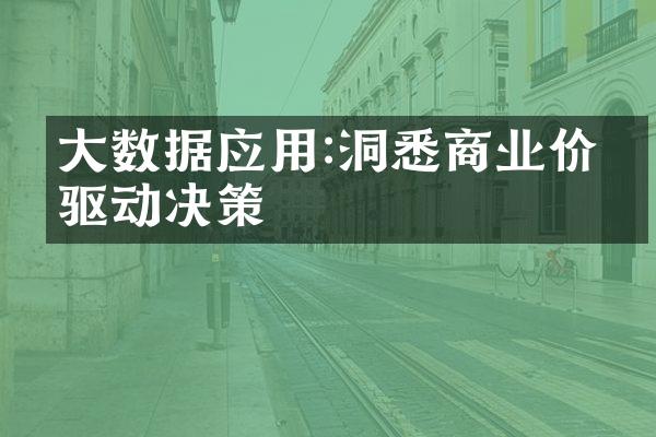 大数据应用:洞悉商业价值驱动决策