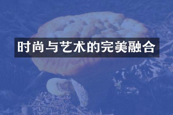 时尚与艺术的完美融合