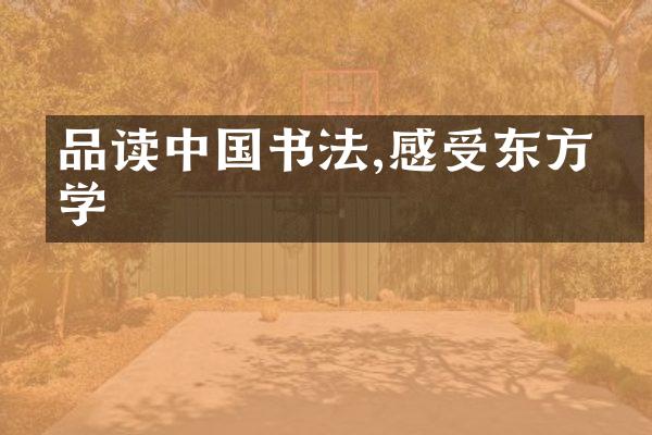 品读中国书法,感受东方美学
