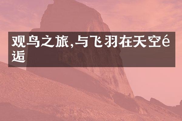 观鸟之旅,与飞羽在天空邂逅