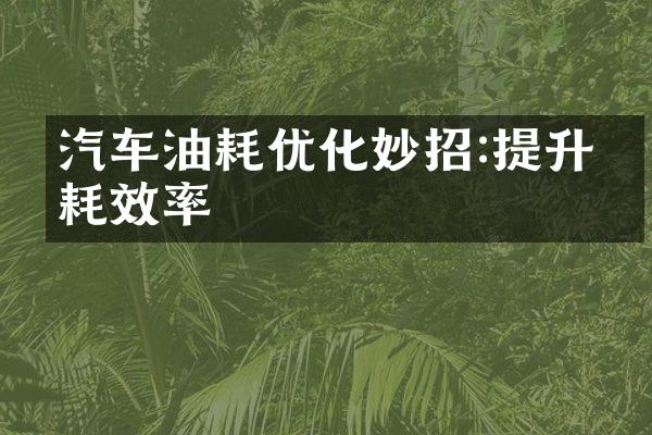 汽车油耗优化妙招:提升油耗效率