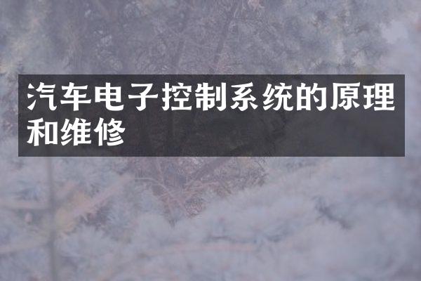 汽车电子控制系统的原理和维修