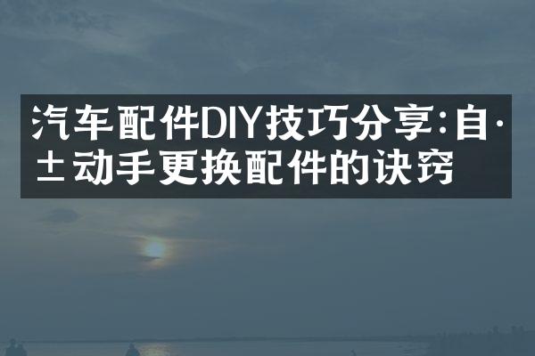 汽车配件DIY技巧分享:自己动手更换配件的诀窍