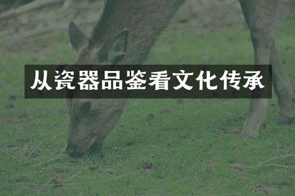 从瓷器品鉴看文化传承