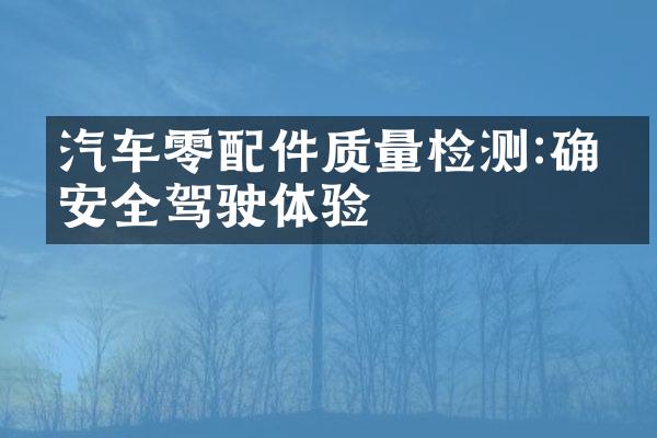 汽车零配件质量检测:确保安全驾驶体验