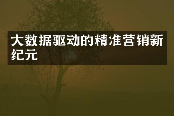 大数据驱动的精准营销新纪元
