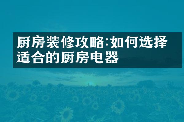 厨房装修攻略:如何选择最适合的厨房电器