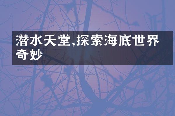 潜水天堂,探索海底世界的奇妙