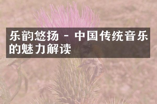 乐韵悠扬 - 中国传统音乐的魅力解读