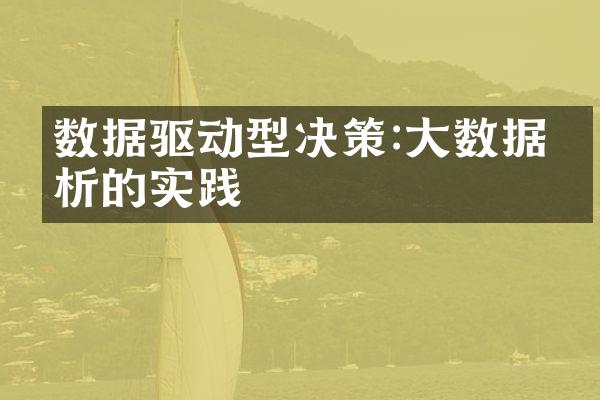 数据驱动型决策:大数据分析的实践
