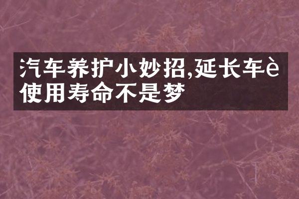 汽车养护小妙招,延长车辆使用寿命不是梦