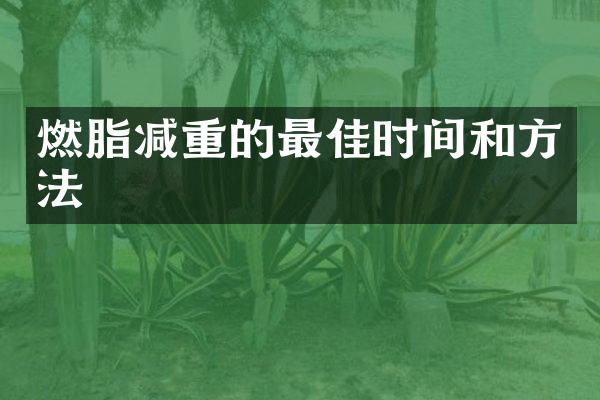 燃脂减重的最佳时间和方法