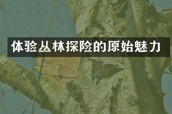 体验丛林探险的原始魅力