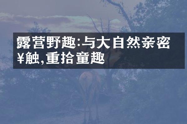 露营野趣:与大自然亲密接触,重拾童趣